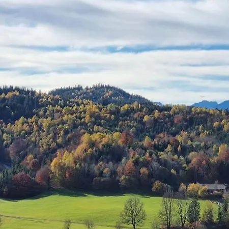 Allgaeustern